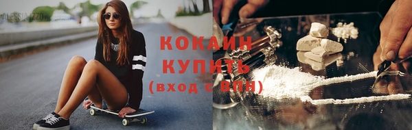 молекула духа Краснослободск