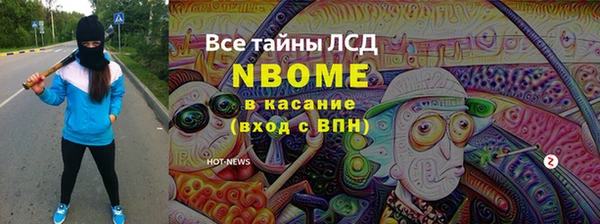 молекула духа Краснослободск