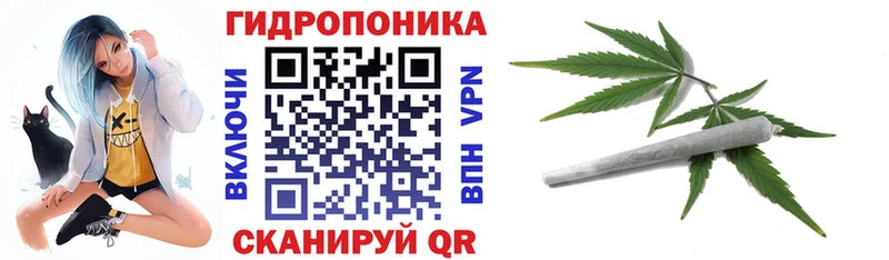 Марихуана SATIVA & INDICA  Купить закладки  Олёкминск 